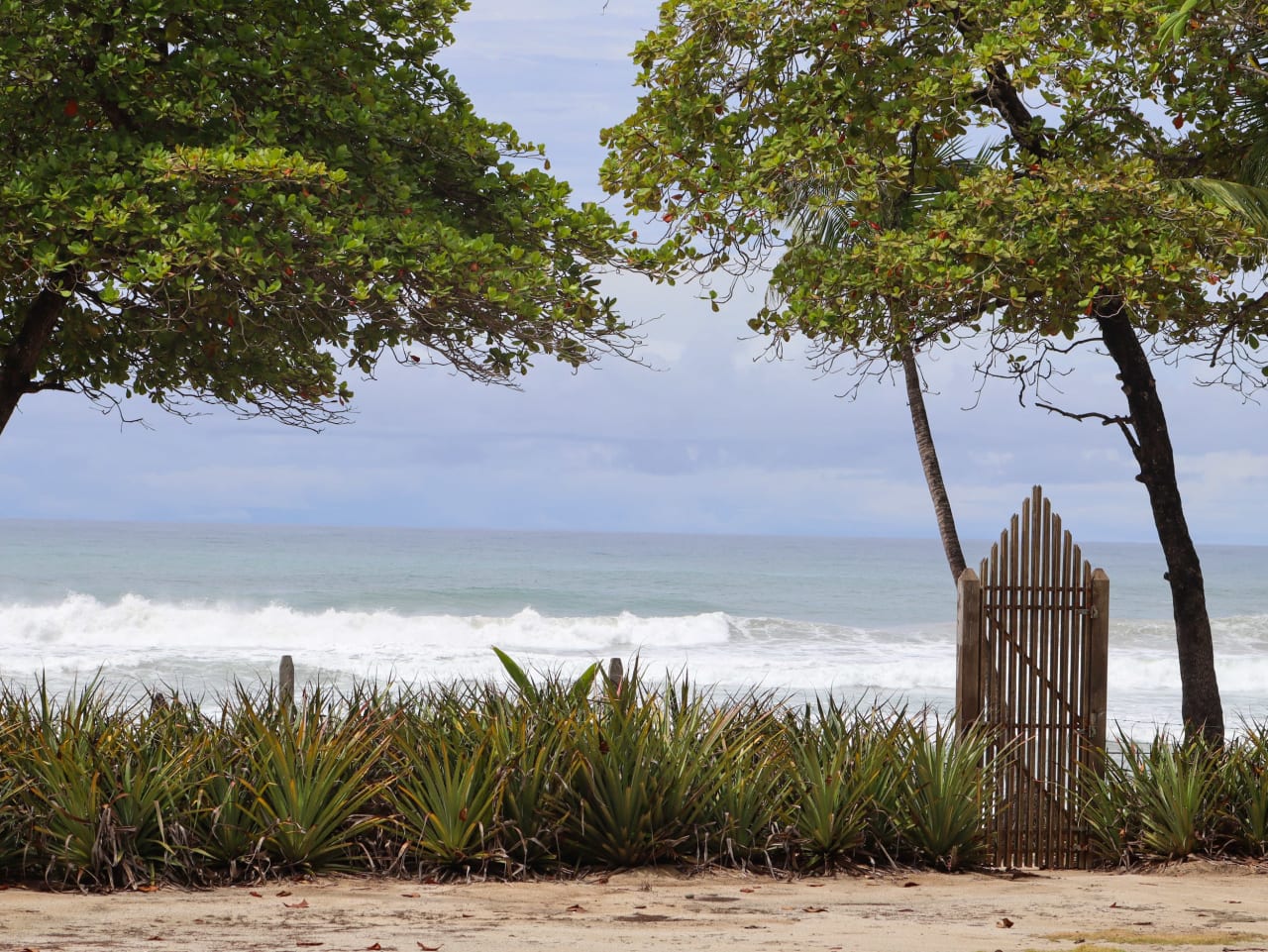 Oceanfront Lot in Santa Teresa