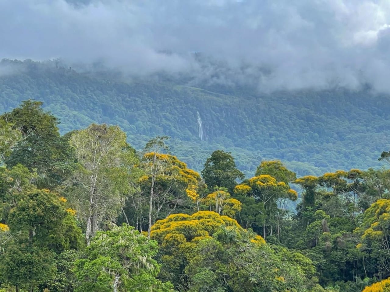 The Ultimate Sustainable Legacy, 360-degree Breath-taking Views Sea Ridge Reserve