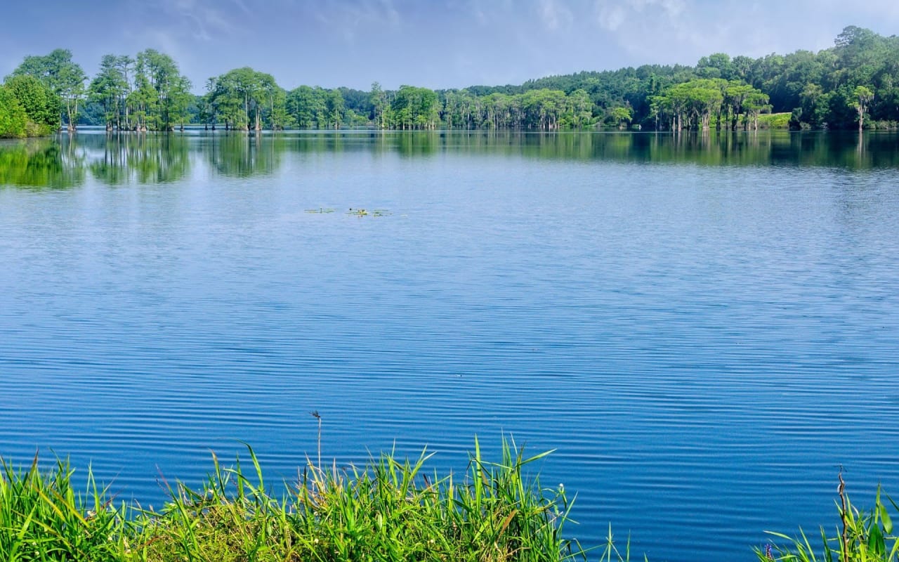 Preserve at Buck Lake 