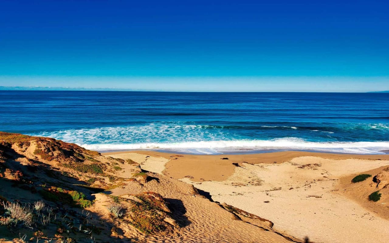 Marina Platinum One Real Estate Group