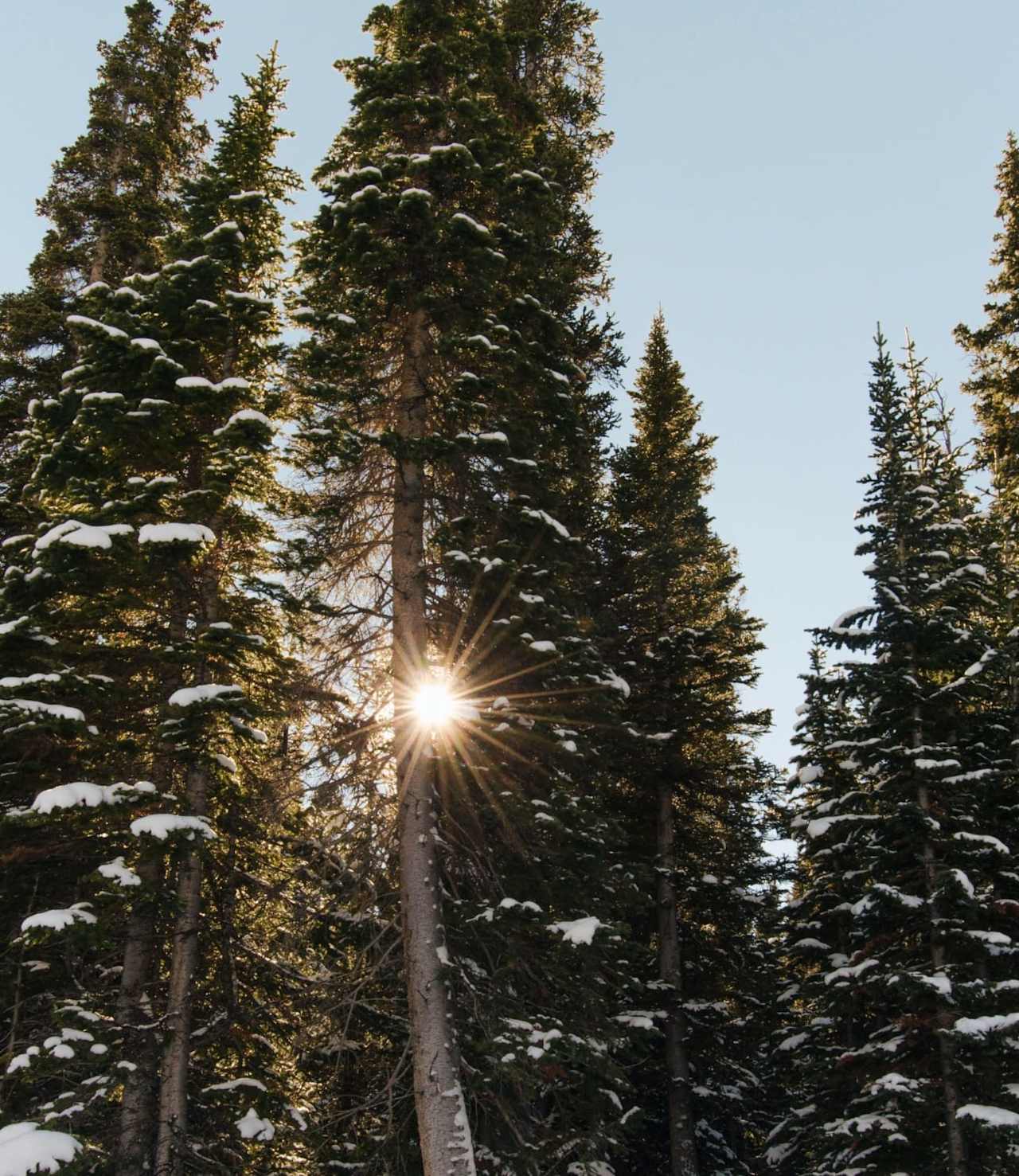 Rachel Sadler Southwest Colorado Real Estate