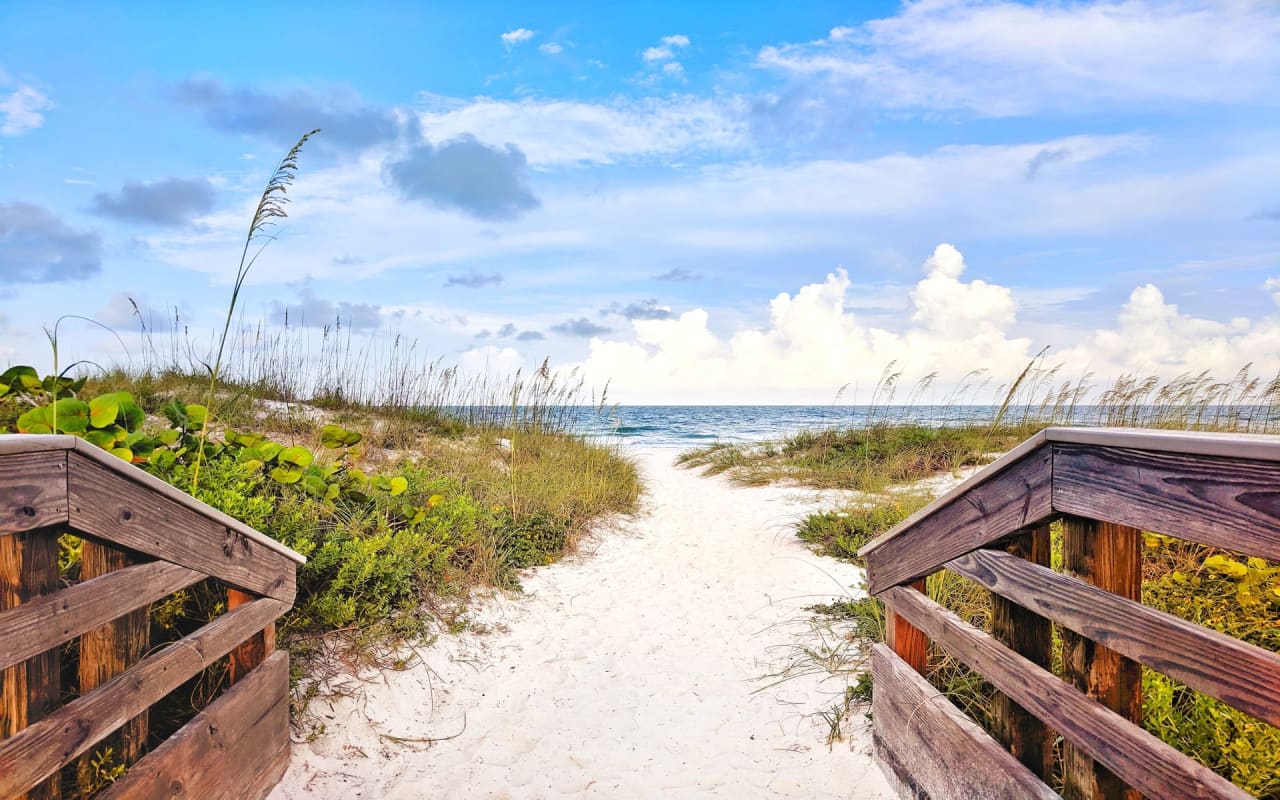 A rustic wooden path provides a scenic stroll through a tropical paradise