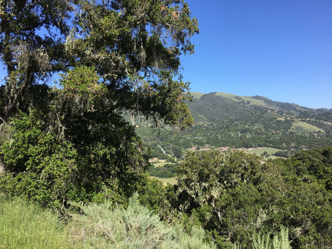 Carmel Valley Village