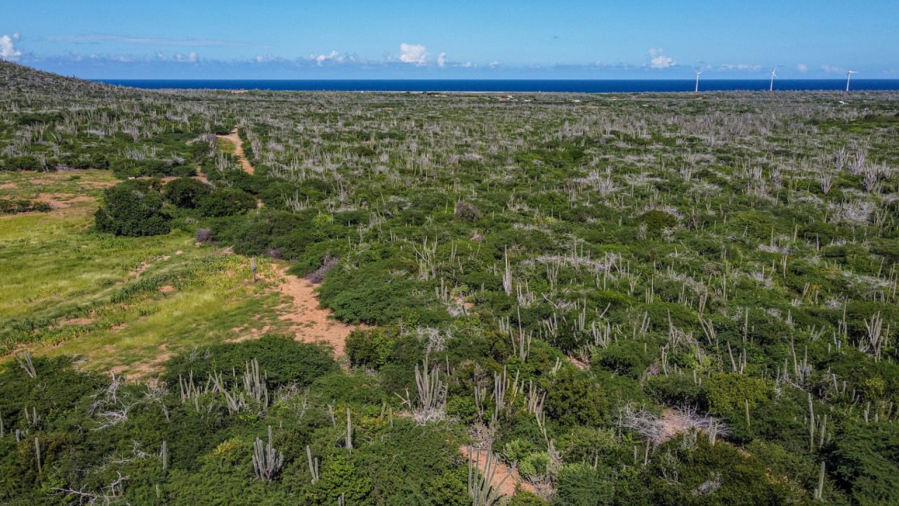 BES Islands Real Estate Bonaire Land For Sale Investment