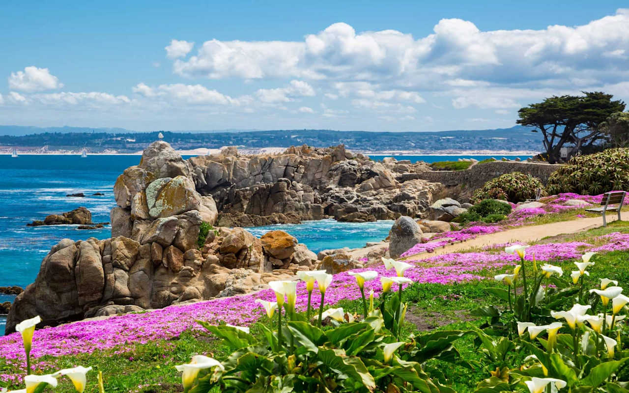 Pacific Grove Platinum One Real Estate Group