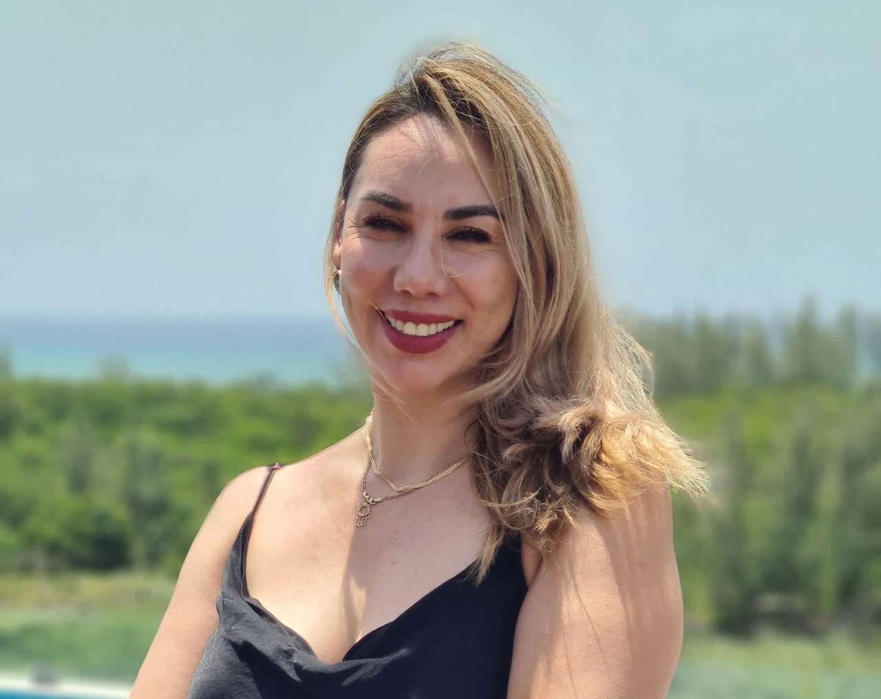 Alerta Inversionista