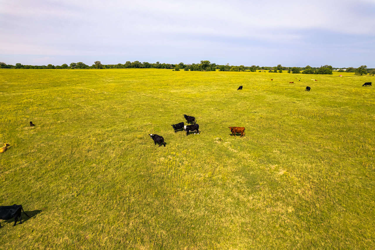 Pasture Land For Sale in Texas