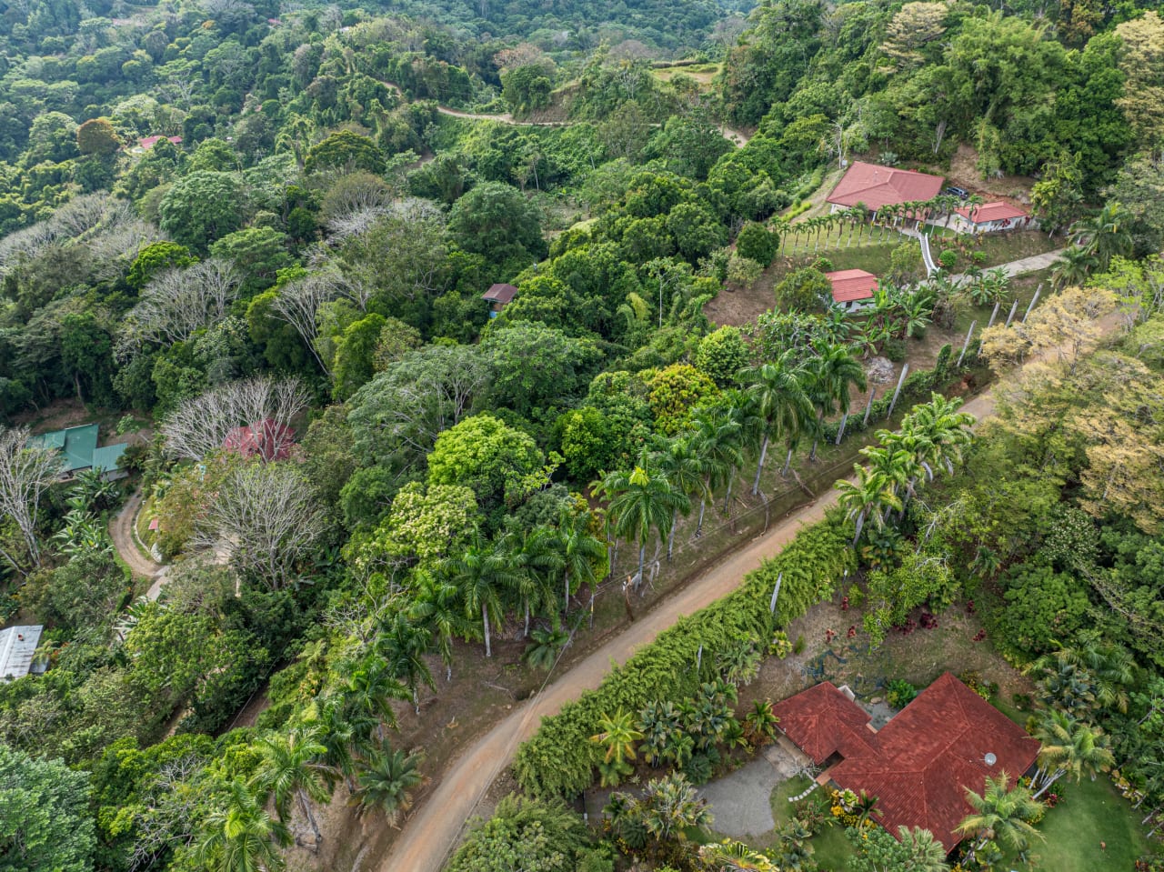 Casa De La Rosa, 3 Bedroom Ocean View Home in Lagunas!