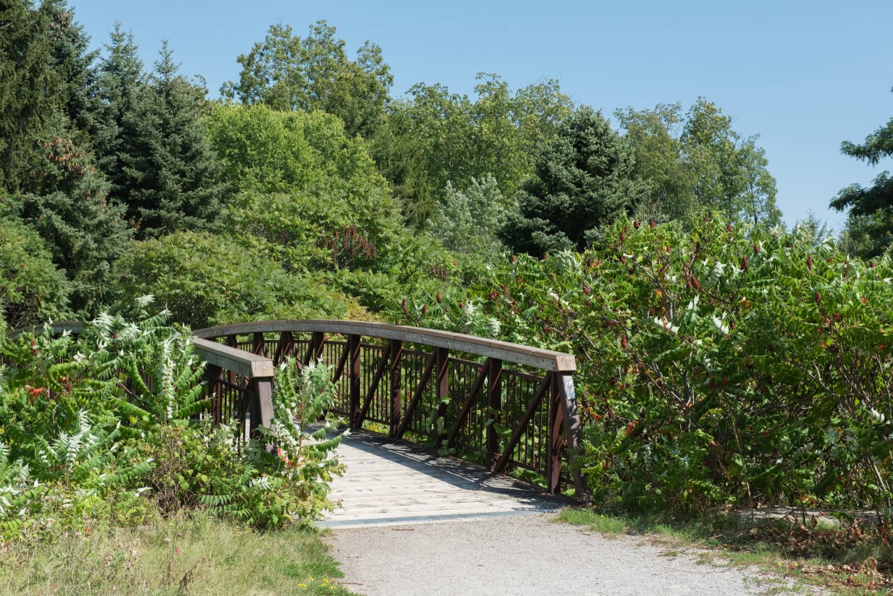 West Oak Trails Neighborhood Guide Goodale Miller Team