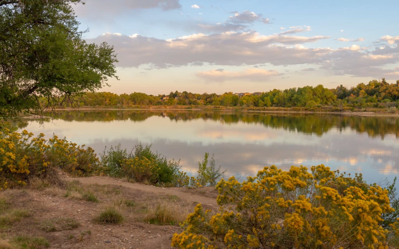 Wheat Ridge