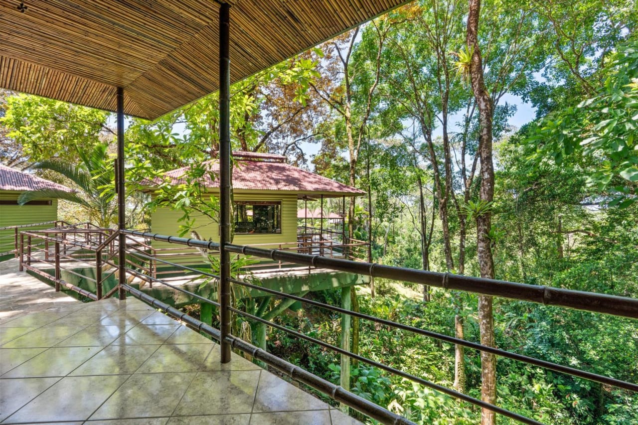 6 Beautiful Tree House Villas and Owners Home on Calle Toucan