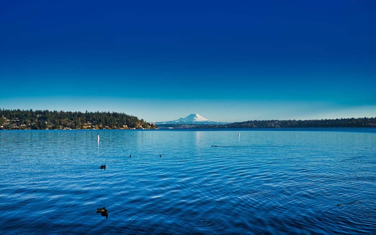 Seward Park