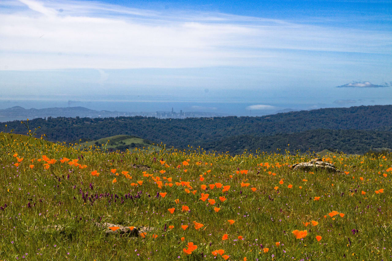 April Activities in The Bay 