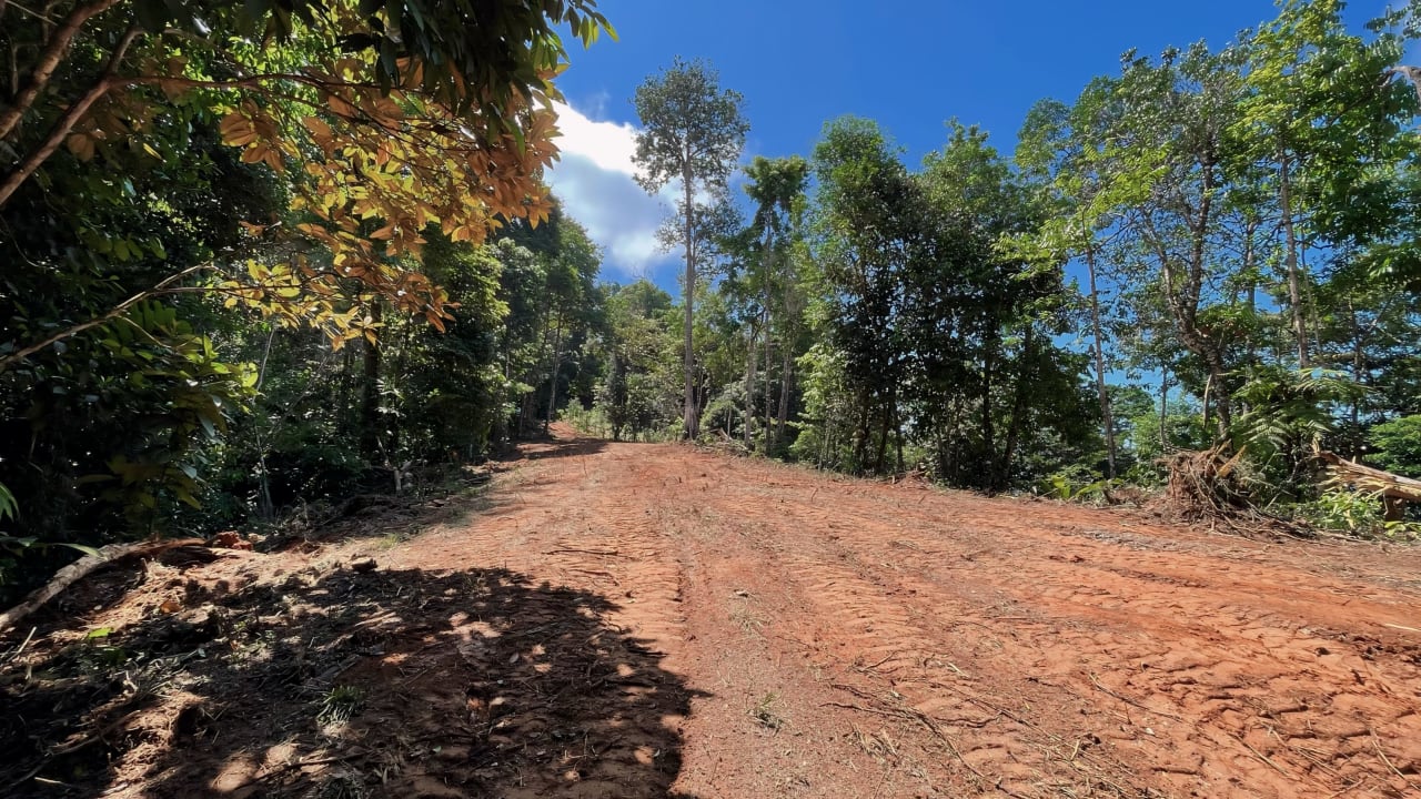 Finca Cerro del Tigre!   Over 20 Acres of Primary Forest and  Waterfalls. 