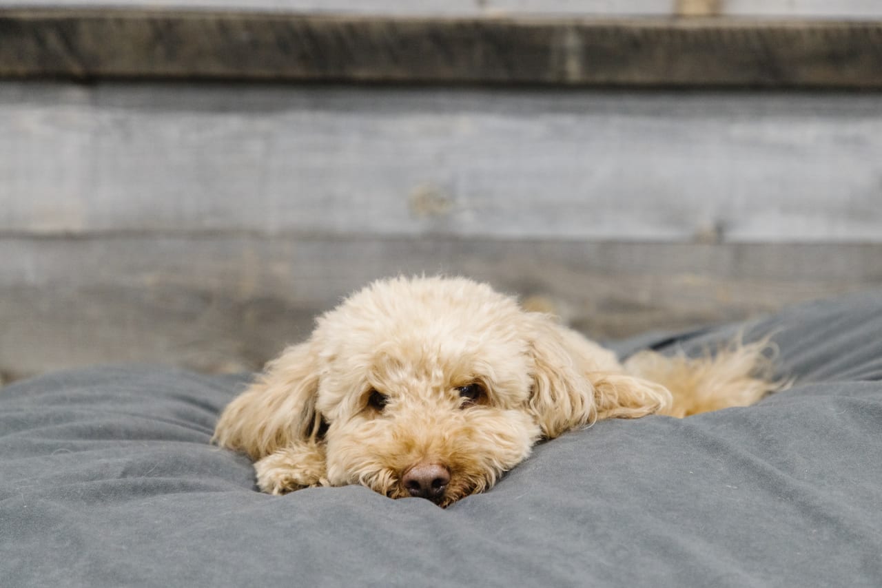 About Marcy Eastman Denver Real Estate Agent