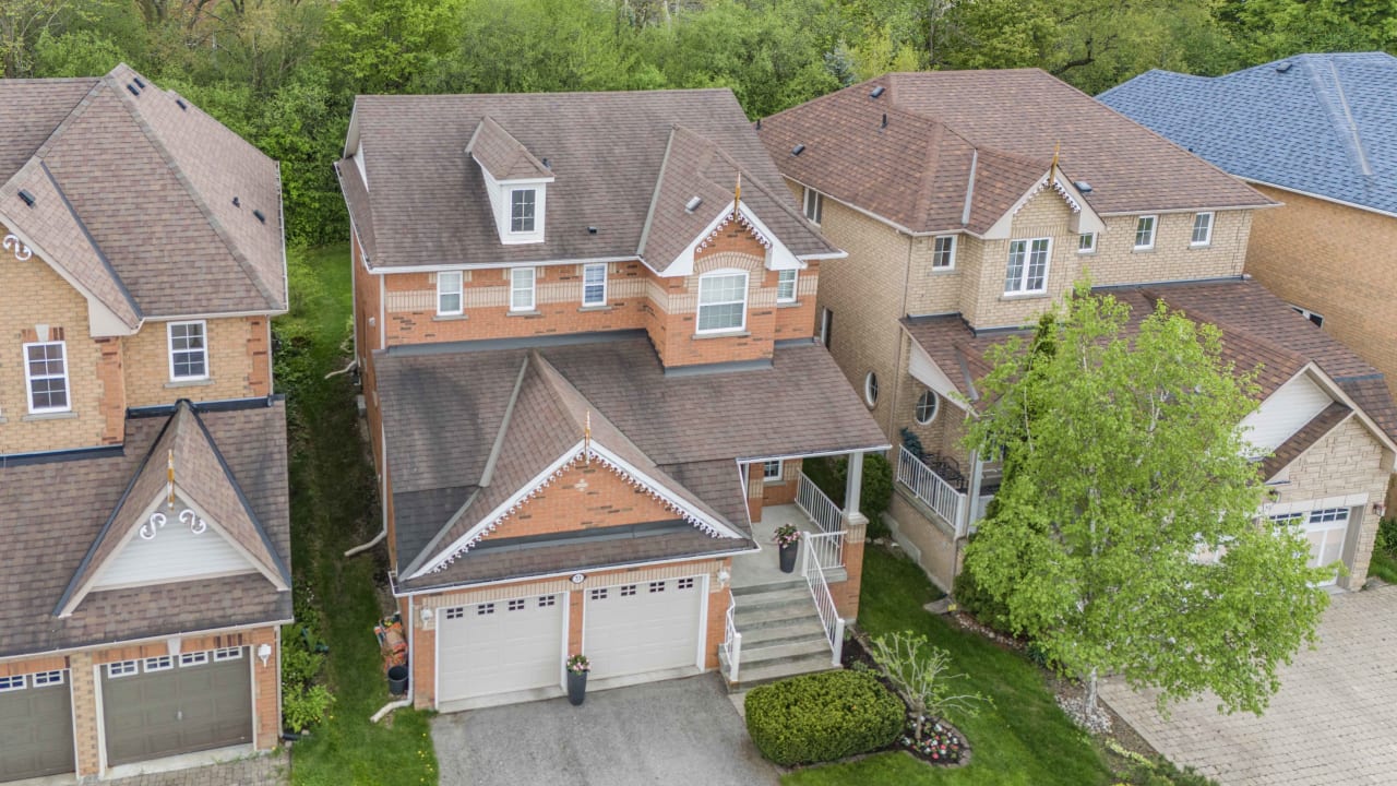 31 English Oak Oak Ridges