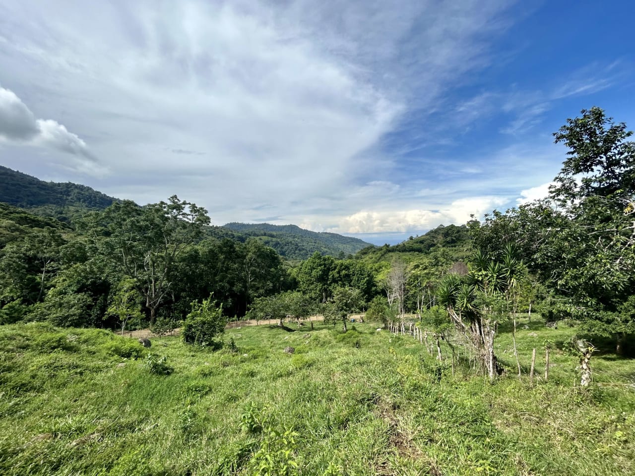 Stunning Ocean View Farm in San Luis de Morete, Over 23 Acres