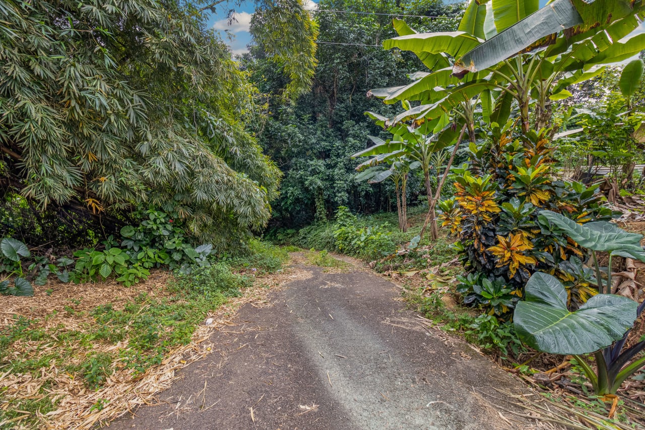 Jayuya with Airbnb  and Farming Potential