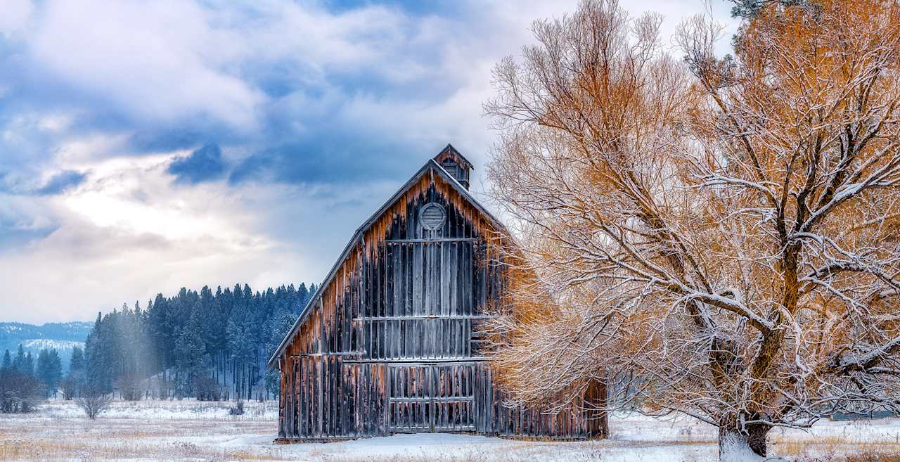 Tamarack Realty Tamarack, ID Real Estate