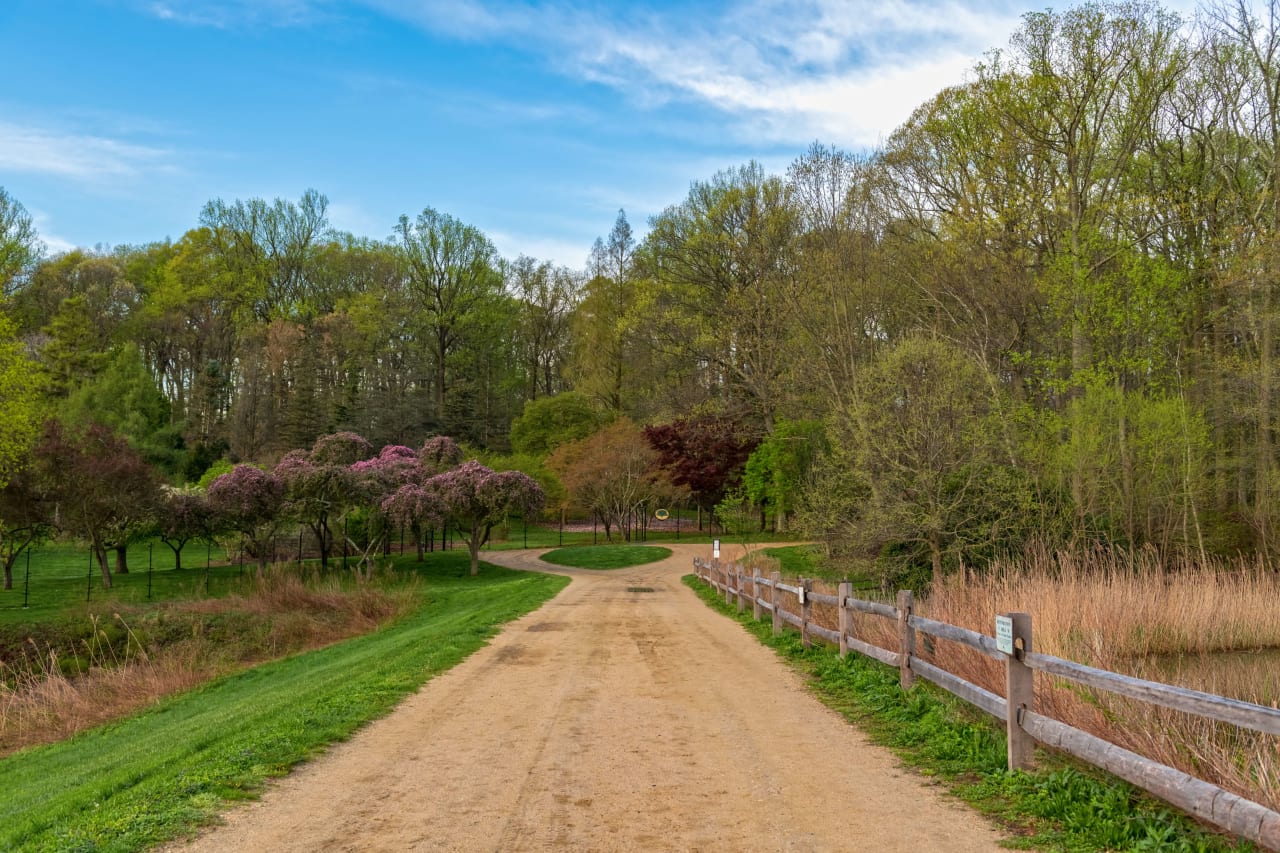 Colts Neck