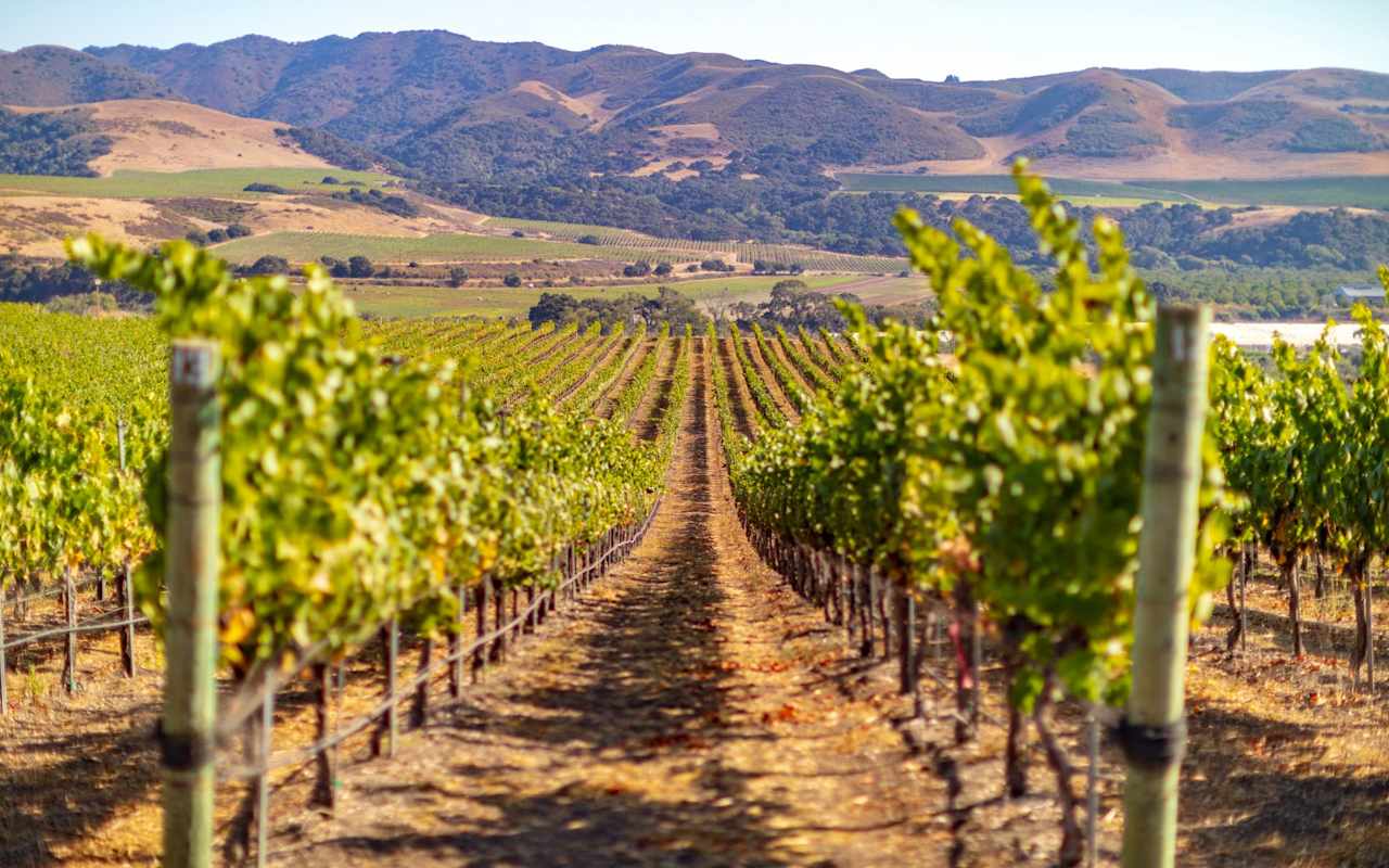 Ranches, Equestrian Estates, Agricultural Land, Vineyards & Winerie