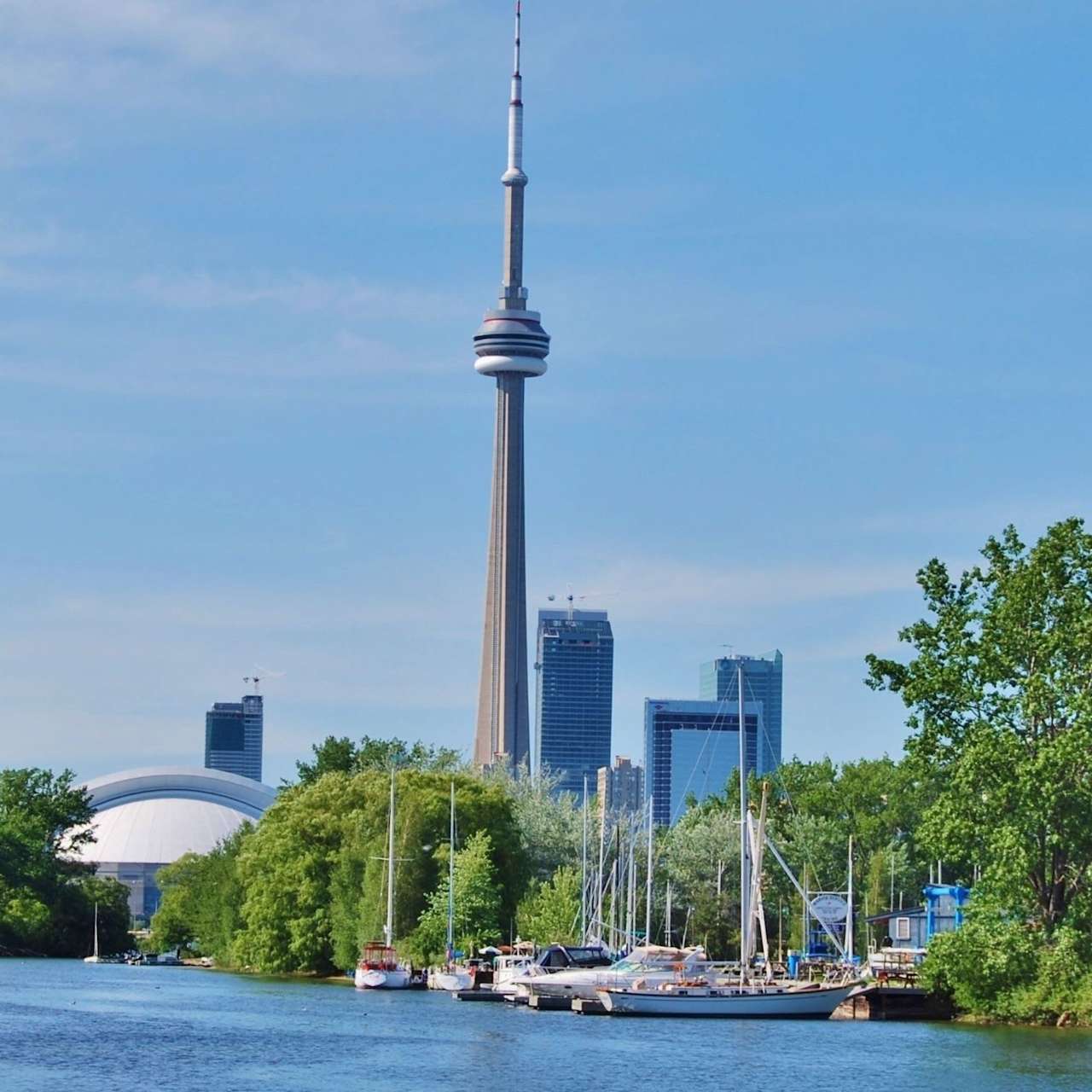 Areas of Expertise Tamar Jones Ontario Real Estate Agents