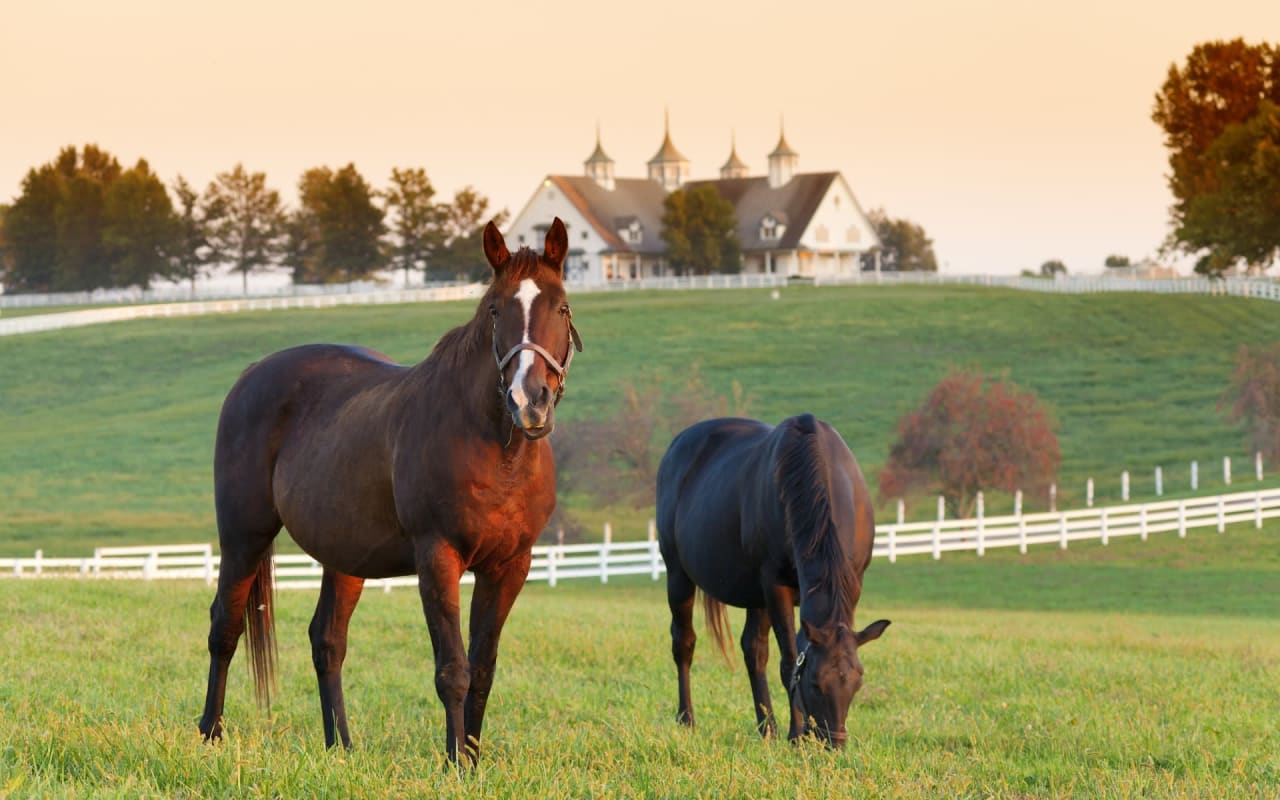 Southwest Ranches