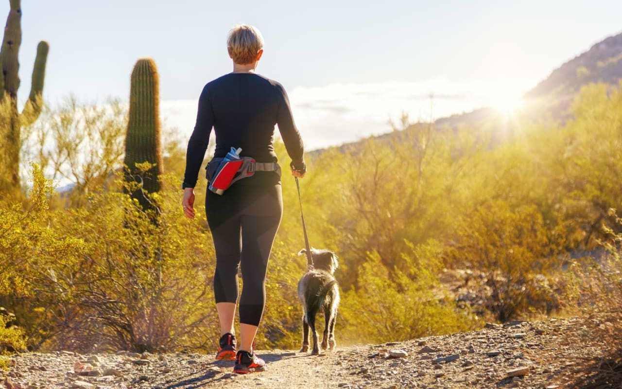 Dog-Friendly Hiking In Scottsdale