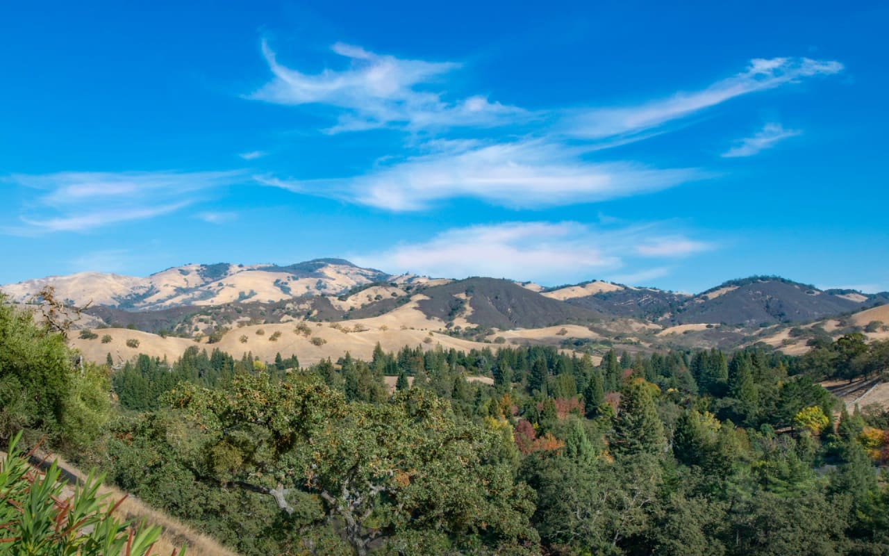 Carmel Valley