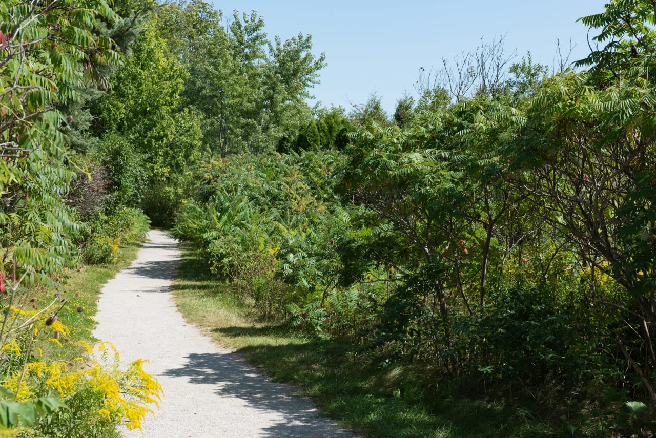 West Oak Trails Neighborhood Guide Goodale Miller Team