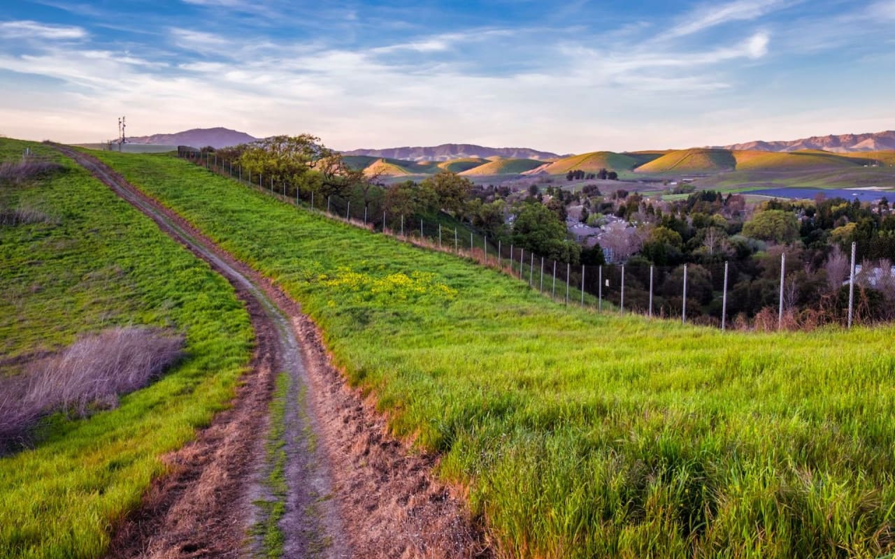 8 Reasons You Should Consider Living in Dublin, CA