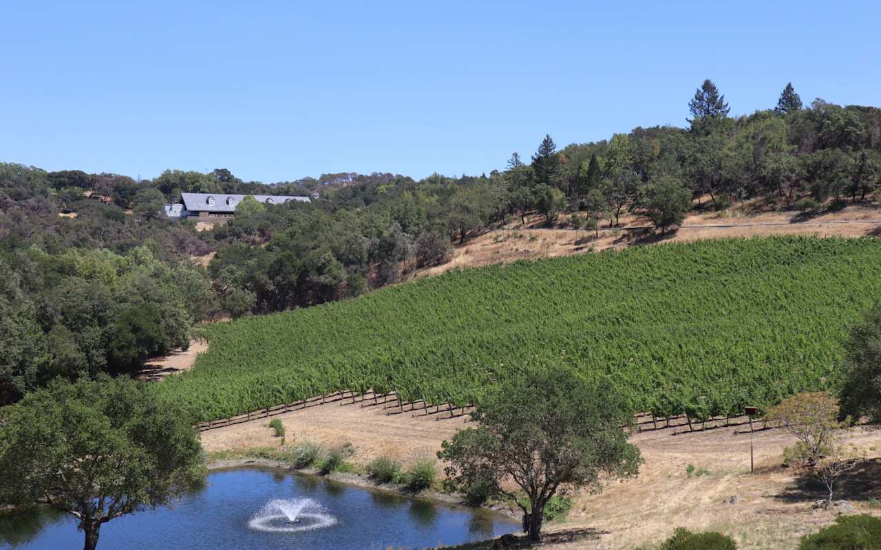 Rhonda Alderman Santa Rosa Real Estate Agent