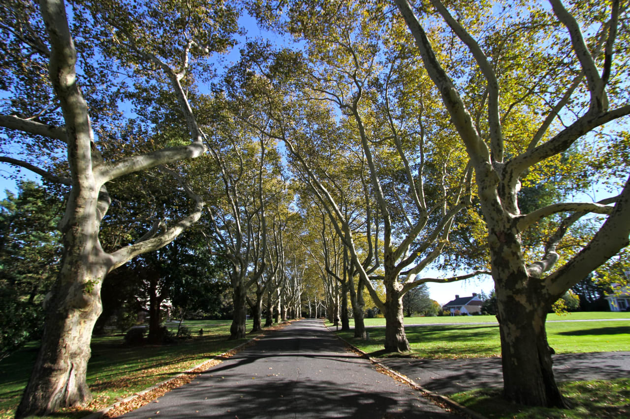 Rumson NJ Kelly Zaccaro Houses & Condos for sale