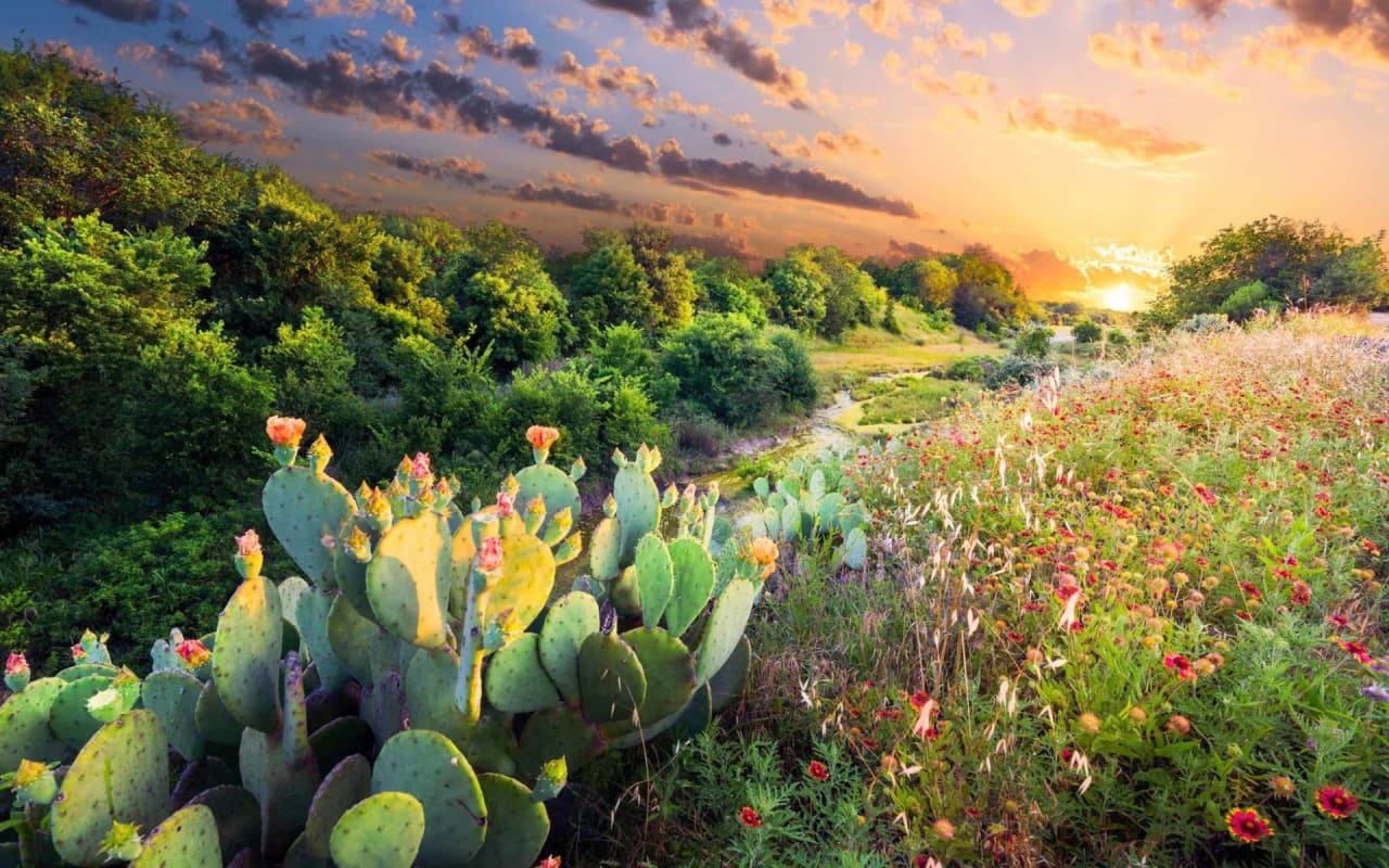 Milam County Moxie Texas Real Estate