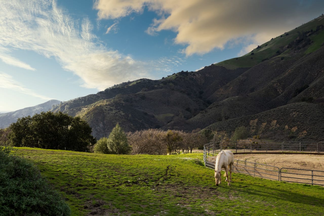 Figueroa Mountain Serenity