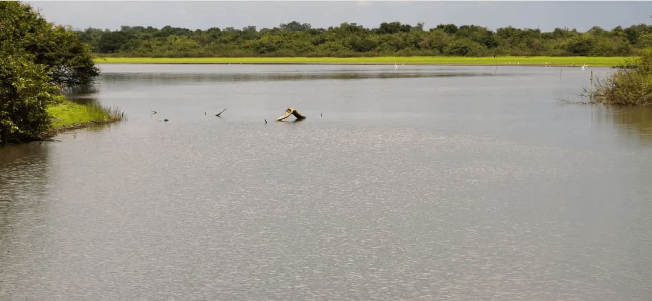 100 plus acre waterfront property on the east shores of Kate's Lagoon 