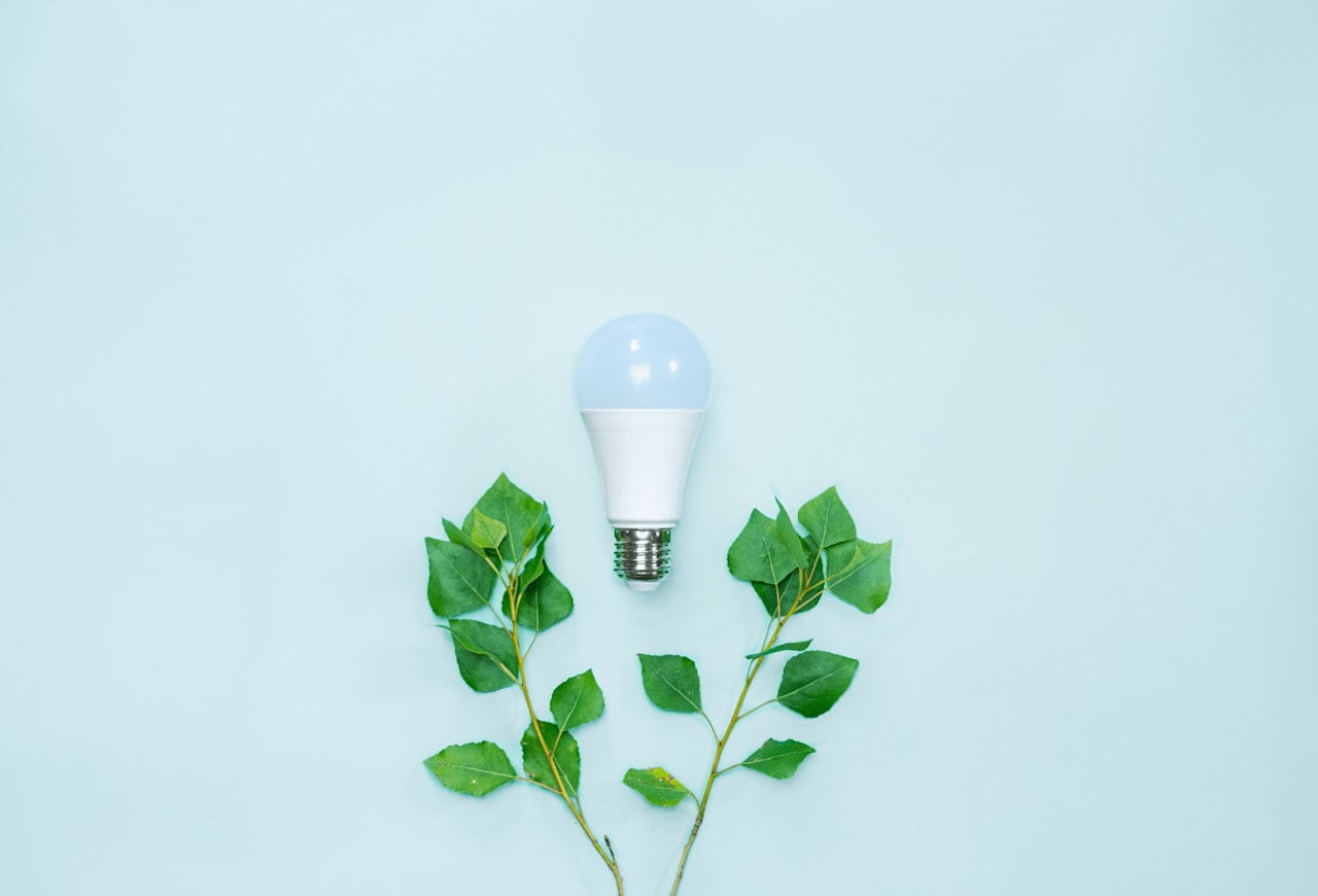 Energy Efficiency Incentives for Homeowners