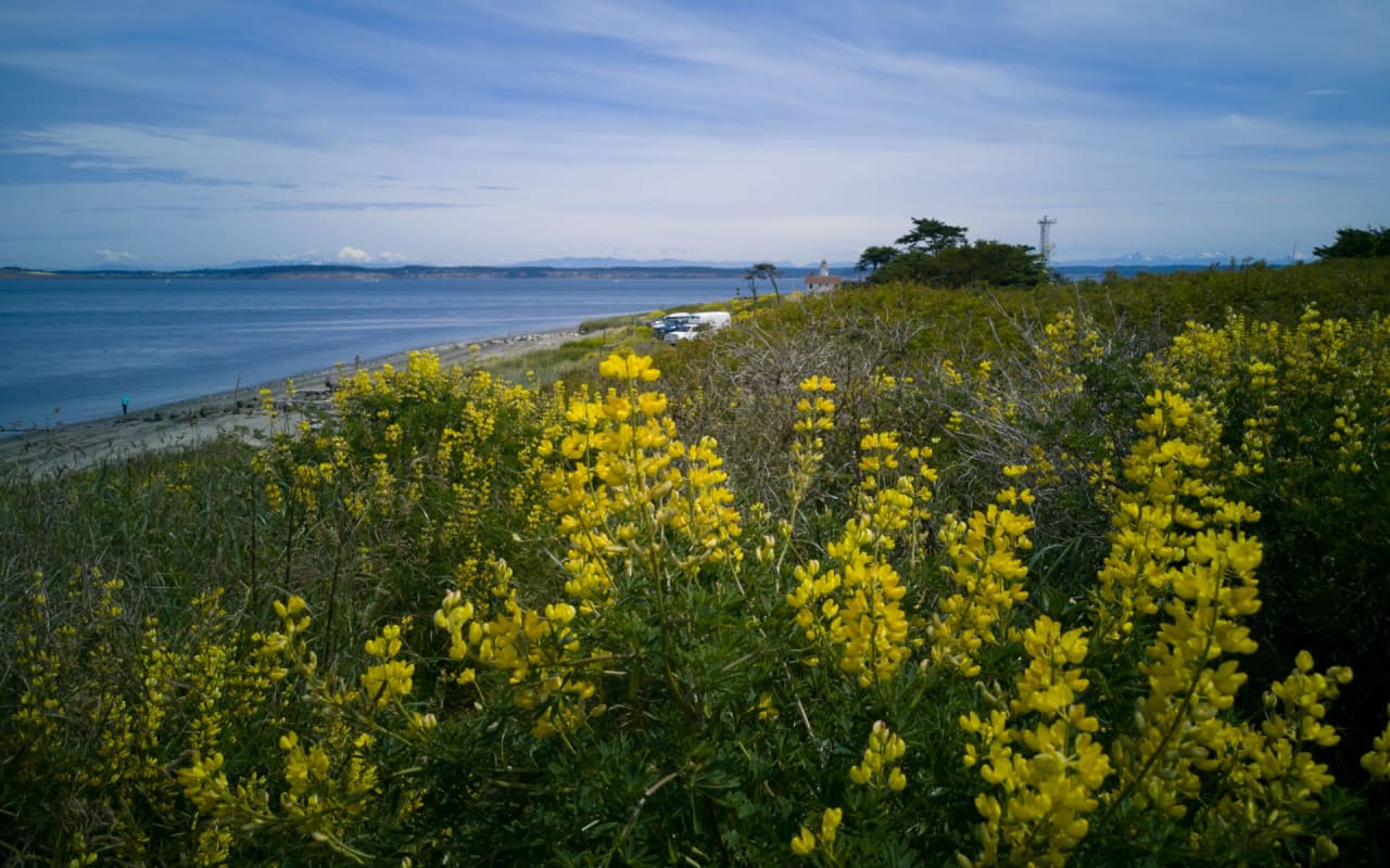 Camano Island