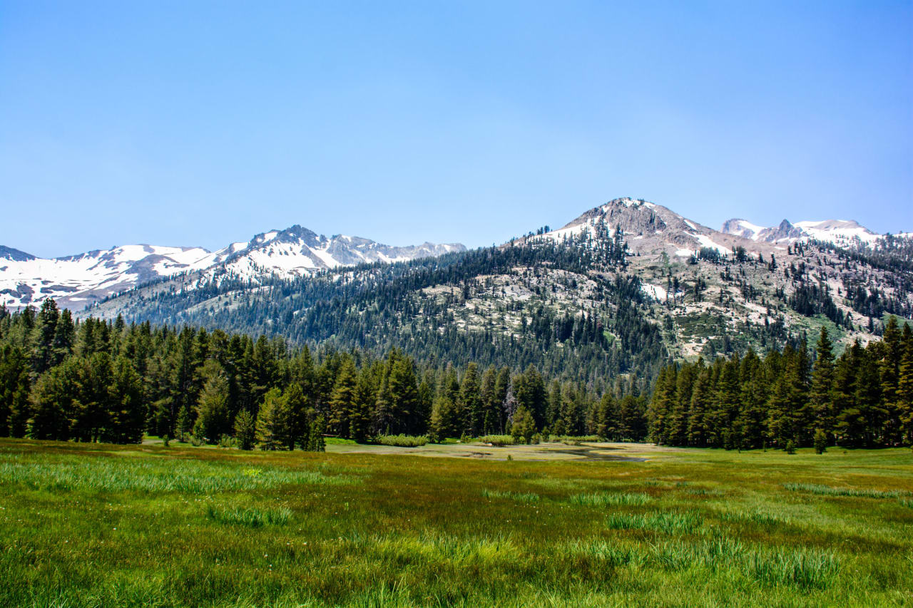 Kennedy Meadows