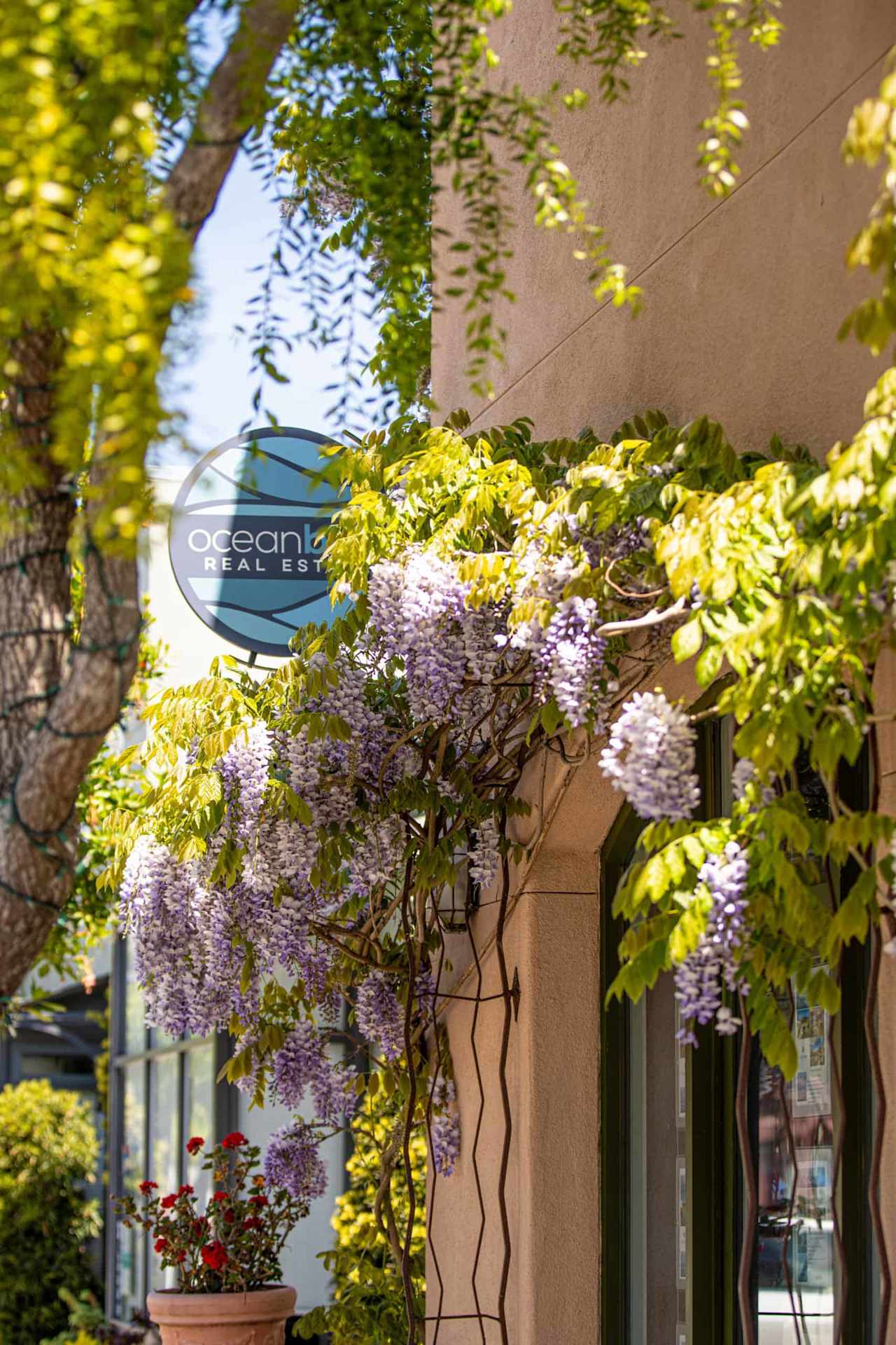 Our Office Ocean Blue Real Estate