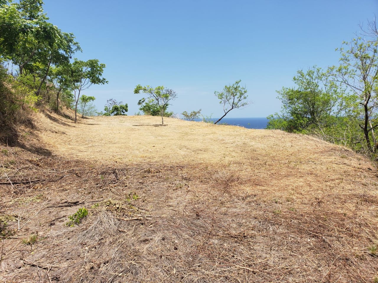 Pacific Heights Parcel | Mountain Development Parcel For Sale in Playa Potrero