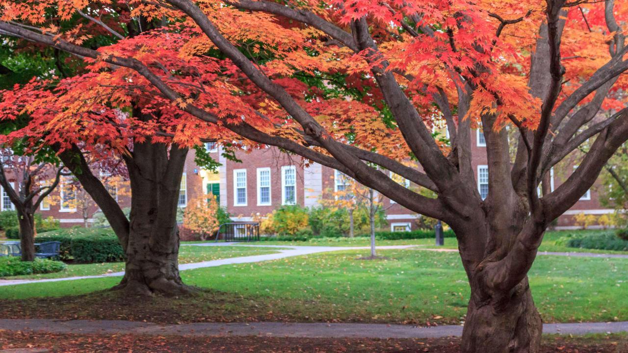 Fall in Massachusetts