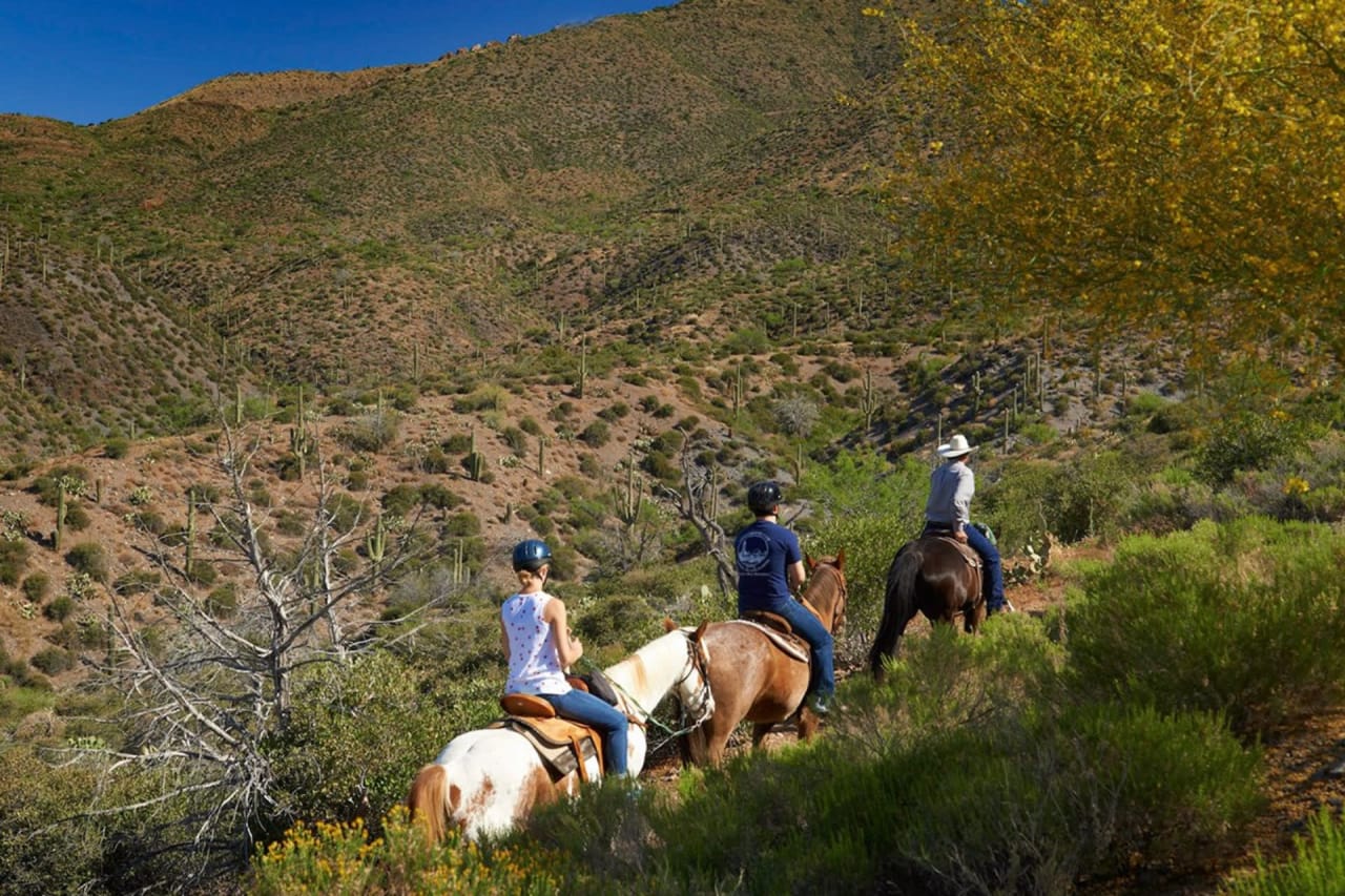 5 Ways to Get Outside in Desert Mountain