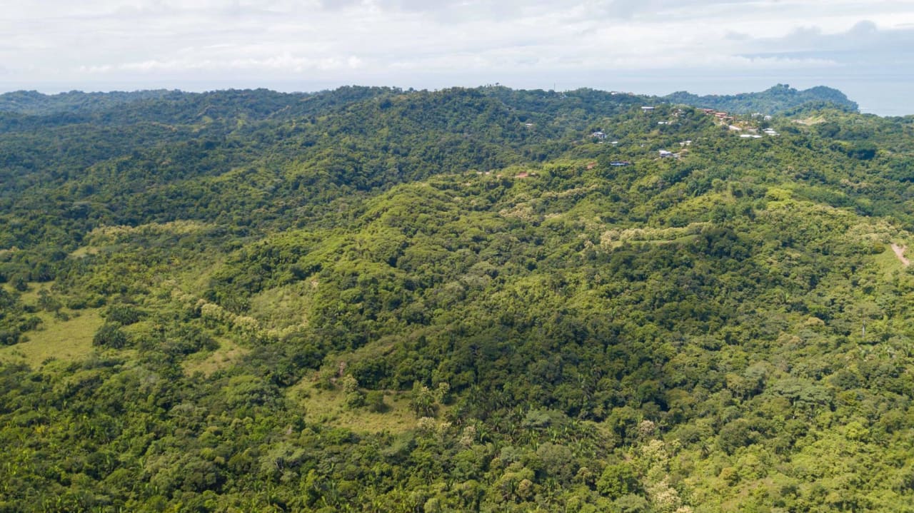 205 Acre Unsurpassed Ocean View Land, Manuel Antonio to Quepos