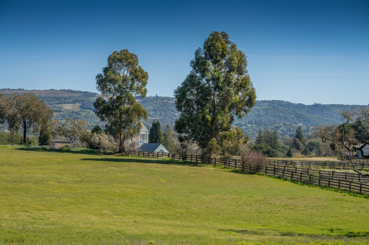 Mid-Century Modern in Sonoma