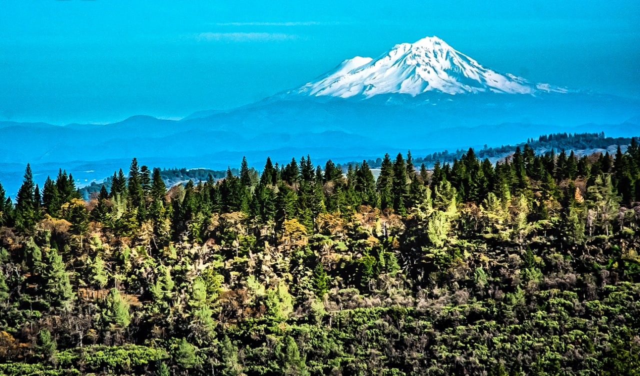 Mount Shasta