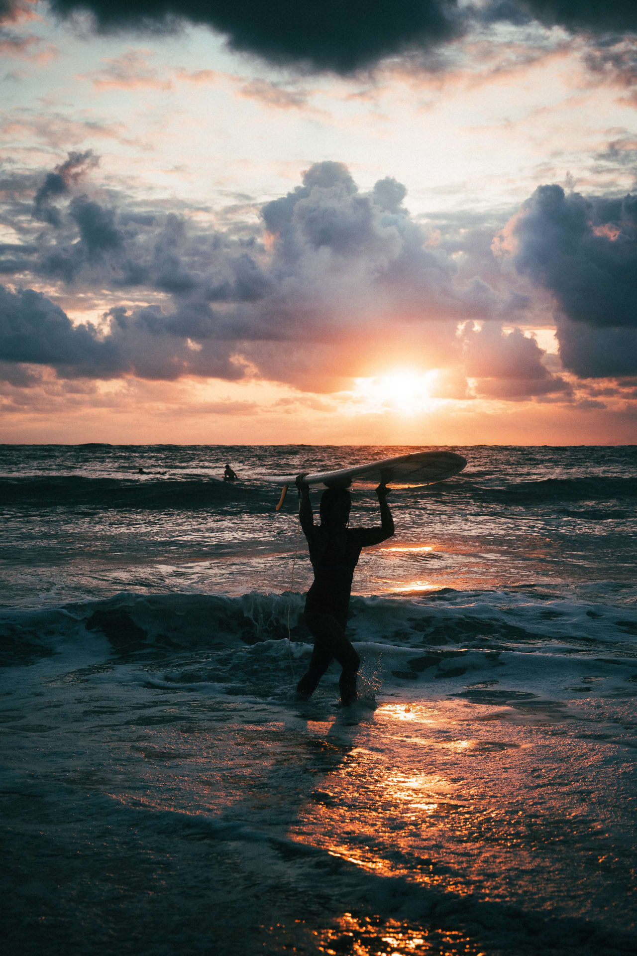 MXLF 2023 Mexi Log Fest at Playa Saladita Beach LIVE REAL ESTATE