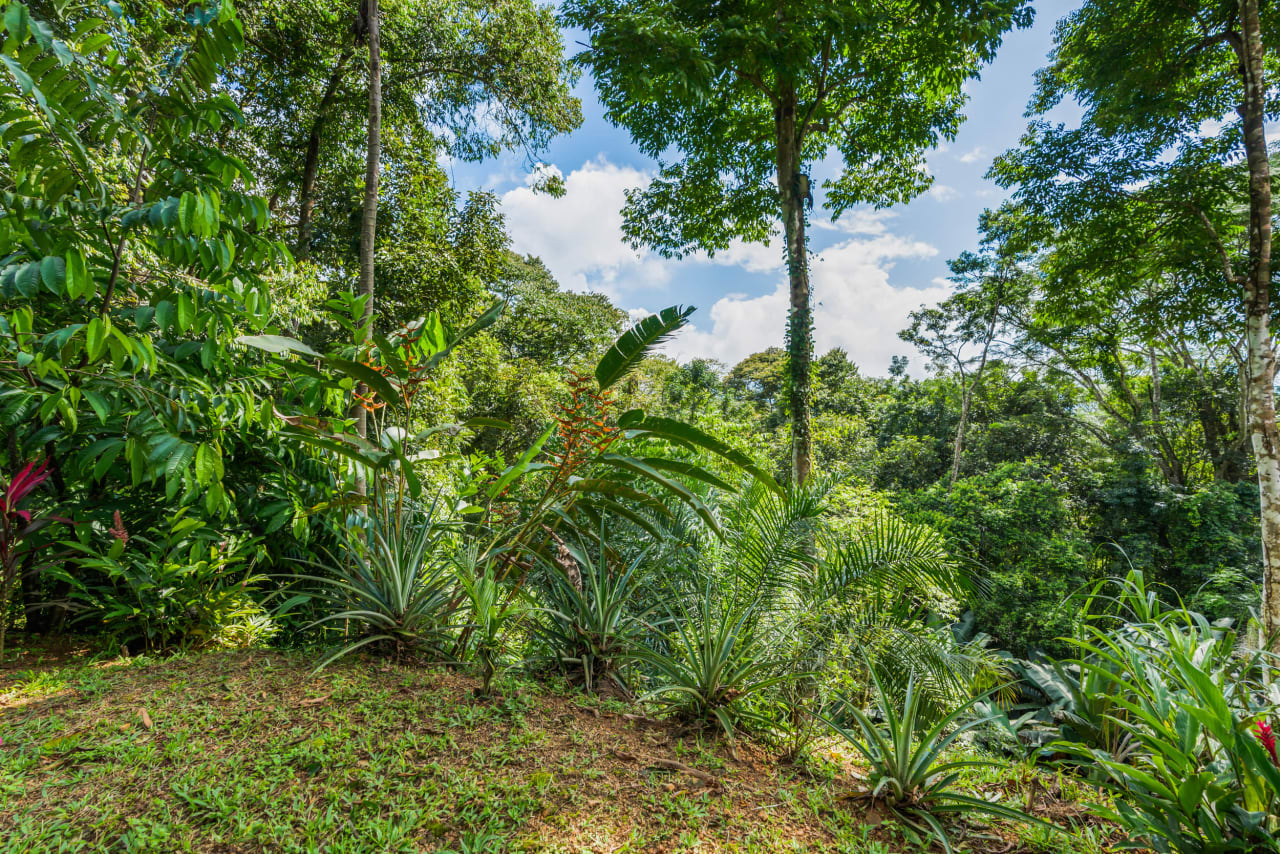 Tropical Villas on 11 Acres of Jungle. Great Location for a Retreat!