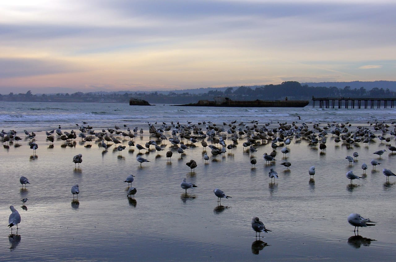 Rio del Mar