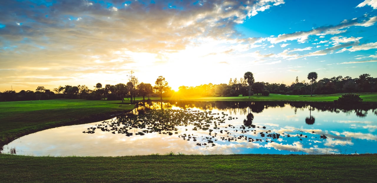 Desoto Lakes